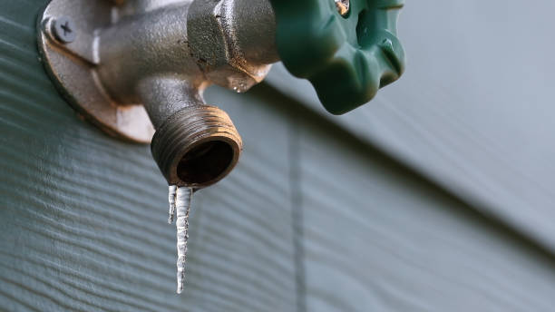 Best Sprinkler Systems  in Bithlo, FL